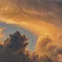 skyview